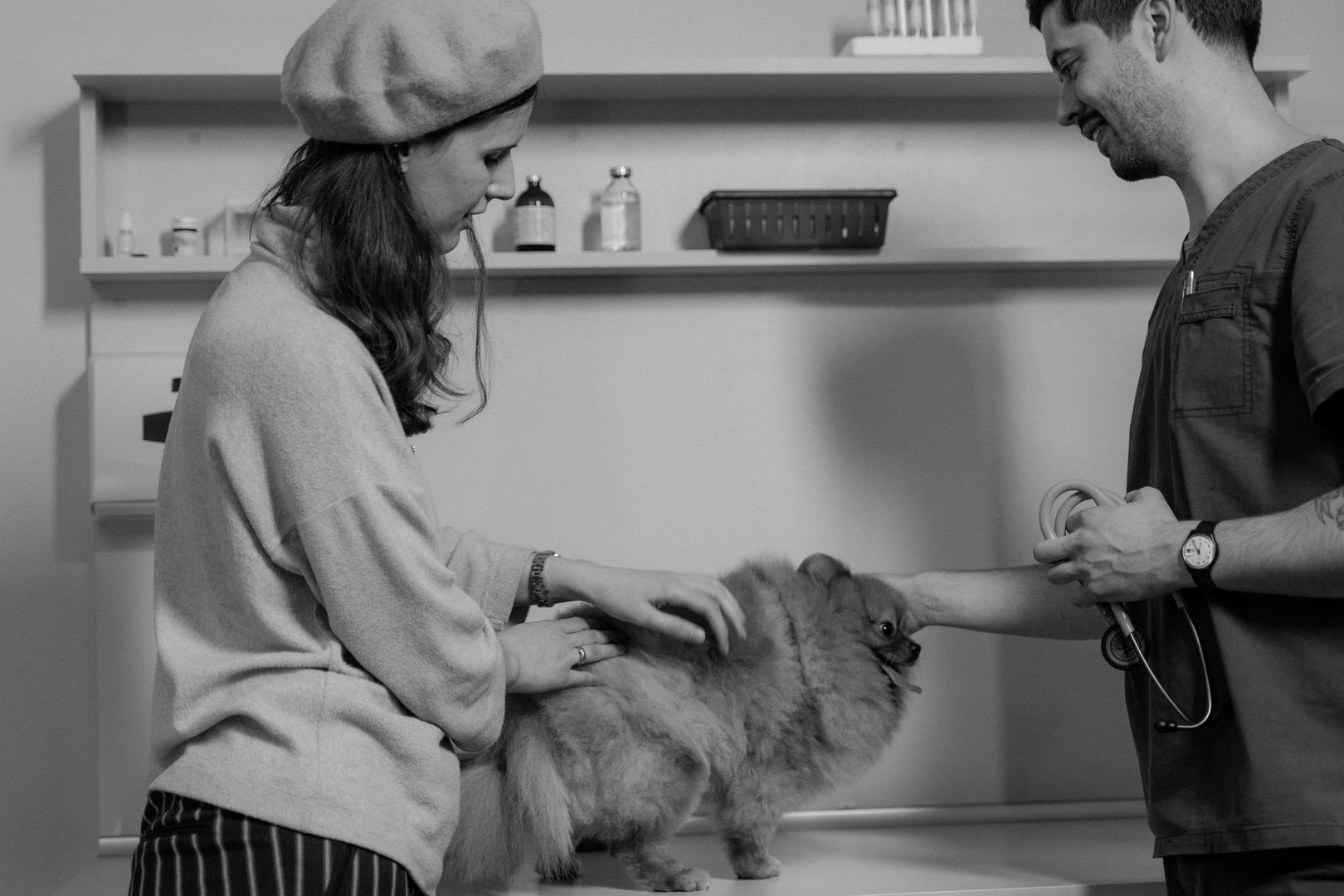 Veterinarian examines a fluffy puppy while its owner steadies it